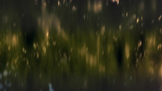 Доктор Стоун